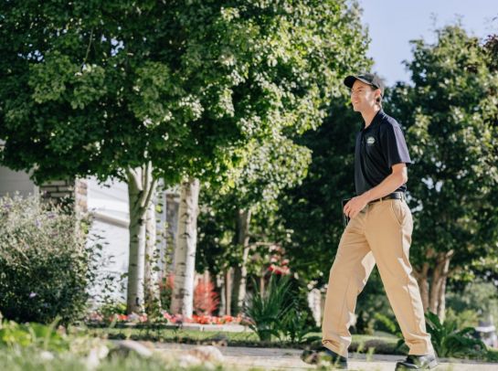 Belt Drive vs. Chain Drive Openers: Which is Quieter?